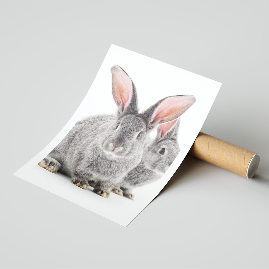 Plakat bez ramy 21x30 - Uroczy królik wśród natury - królik, zając