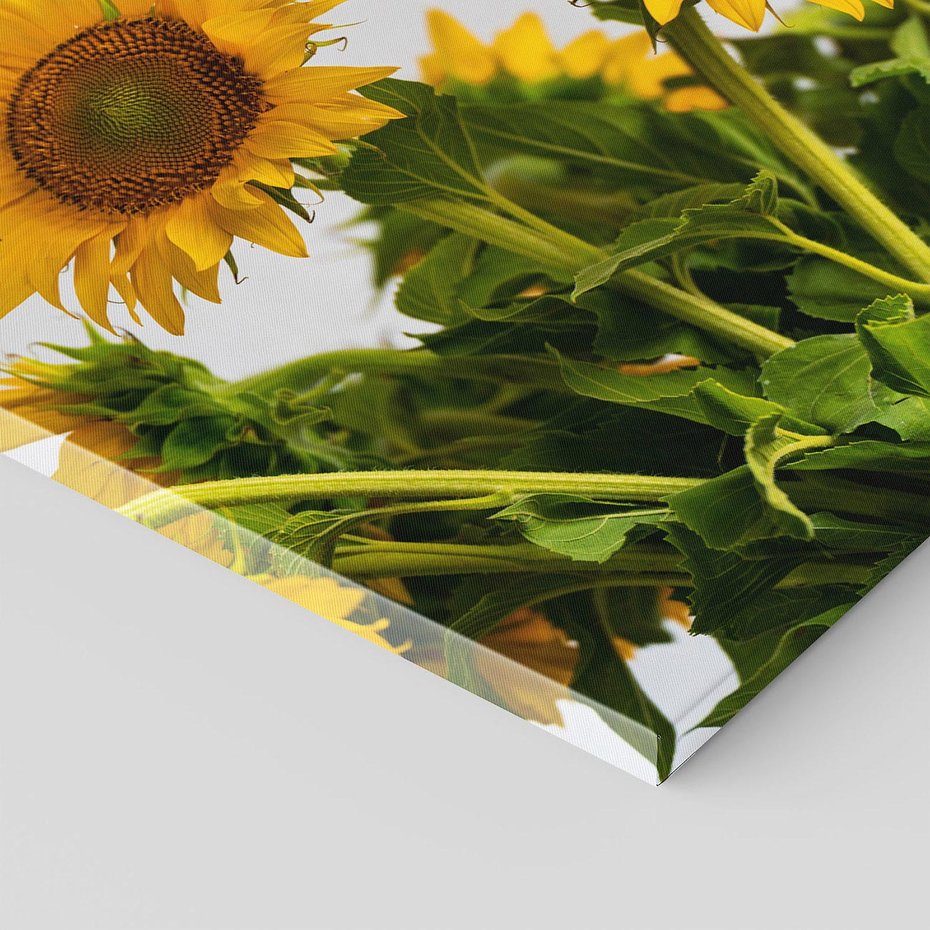 Obraz na płótnie 120x80 - Słoneczna Radość - fotografia, żółte słoneczniki