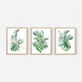 Zestaw obrazy w ramie 40x50 galeria - Liście, monstera, palma, złote, akwarele - rama drewno