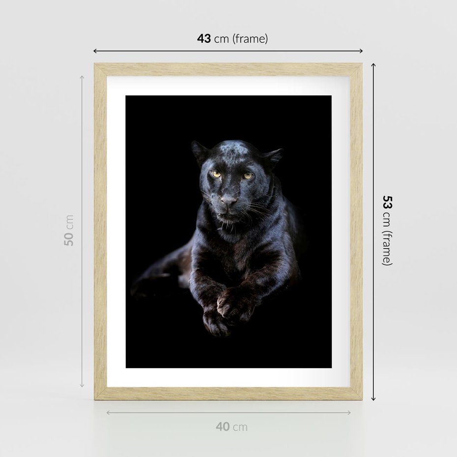 Plakat w ramie 40x50 - Czarna pantera: majestat i siła - czarna, pantera - rama drewno