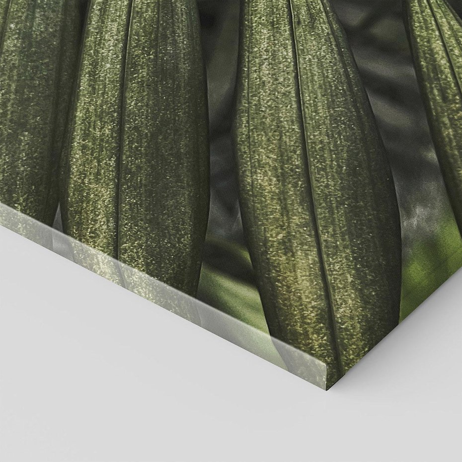 Obraz na płótnie 70x50 - W Liściach Ukryte - zdjęcie, fotografia