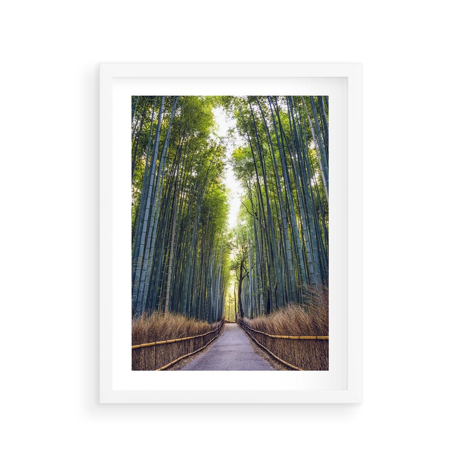 Plakat w ramie 30x40 - Urokliwa dróżka w lesie - las, dróżka - rama biała