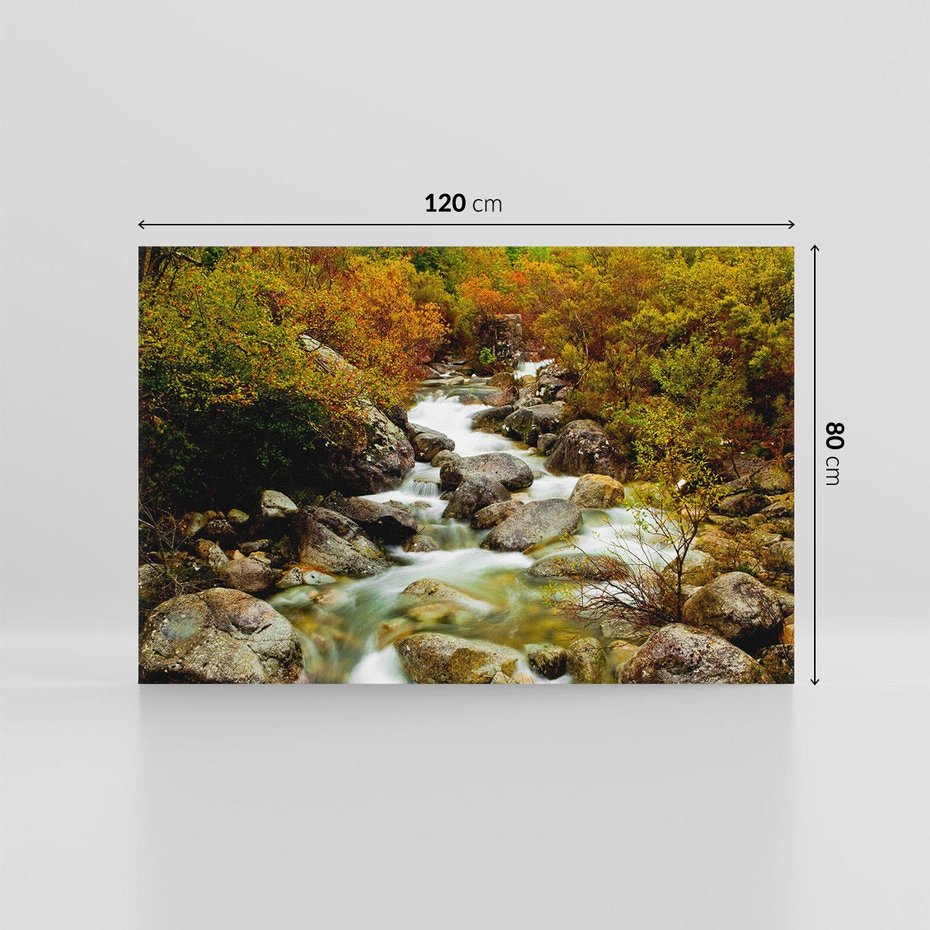 Obraz na płótnie 120x80 - Śpiew Strumienia - strumień, górski