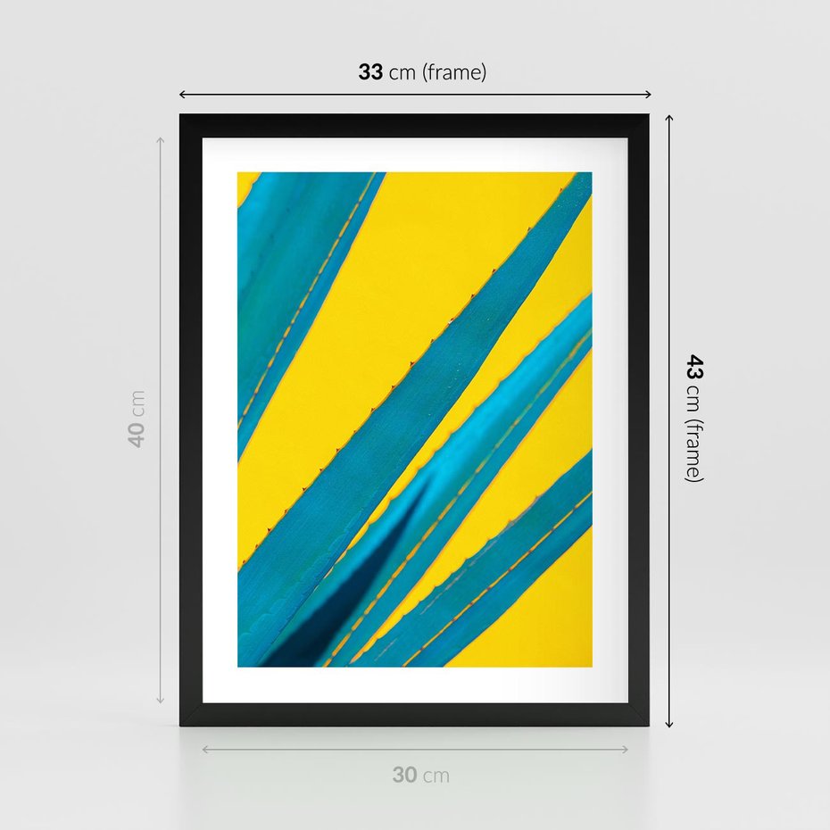 Plakat w ramie 30x40 - Świeżość Natury - aloes, liście - rama czarna