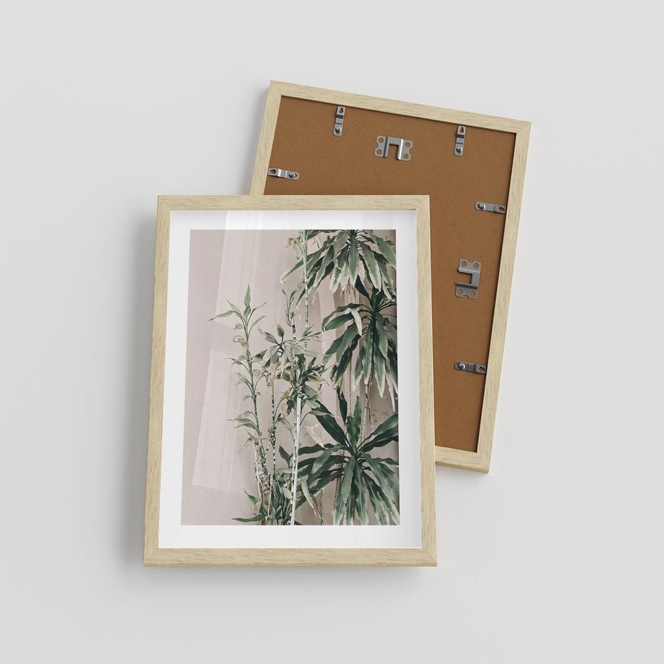 Plakat w ramie 30x40 - Egzotyczna Kompozycja - liście, rośliny tropikalne na tle ściany - rama drewno