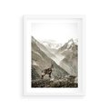 Plakat w ramie 30x40 - Dzikie Piękno: Kozica w Malowniczym Górskim Scenerii - kozica, góry - rama biała