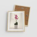 Plakat w ramie 40x50 - Delikatność storczyka orchidei - storczyk, orchidea - rama drewno