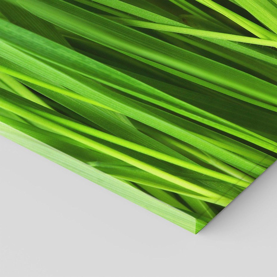 Obraz na płótnie 40x40 - Trawa w abstrakcji: natura przekształcona - trawa, abstrakcja