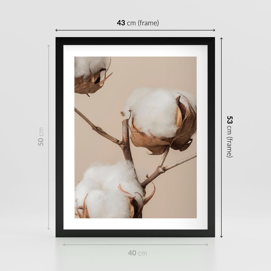 Plakat w ramie 40x50 - Bawełniana melancholia - bawełna, suche - rama czarna