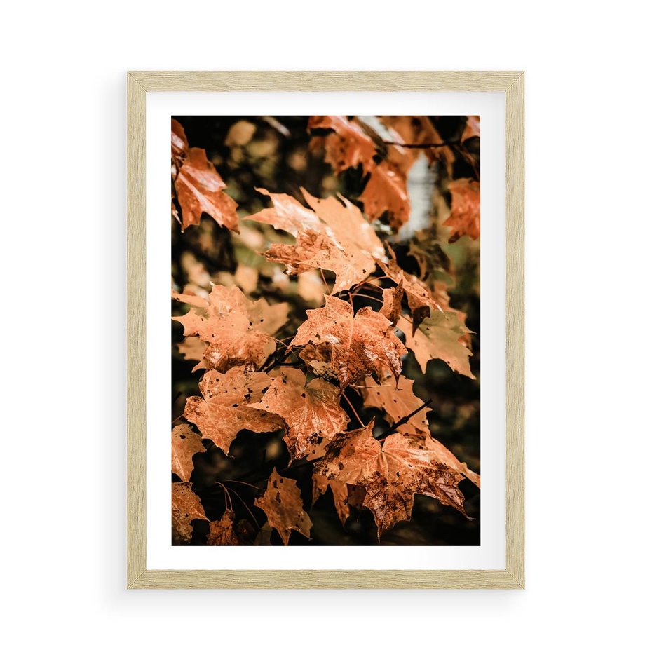 Plakat w ramie 50x70 - Ciepło Jesieni - jesienne pomarańczowe liśćie, jesień - rama drewno