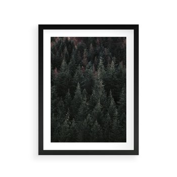 Plakat w ramie 40x50 - Wysoko nad Iglastym Lasem - las, perspektywa - rama czarna