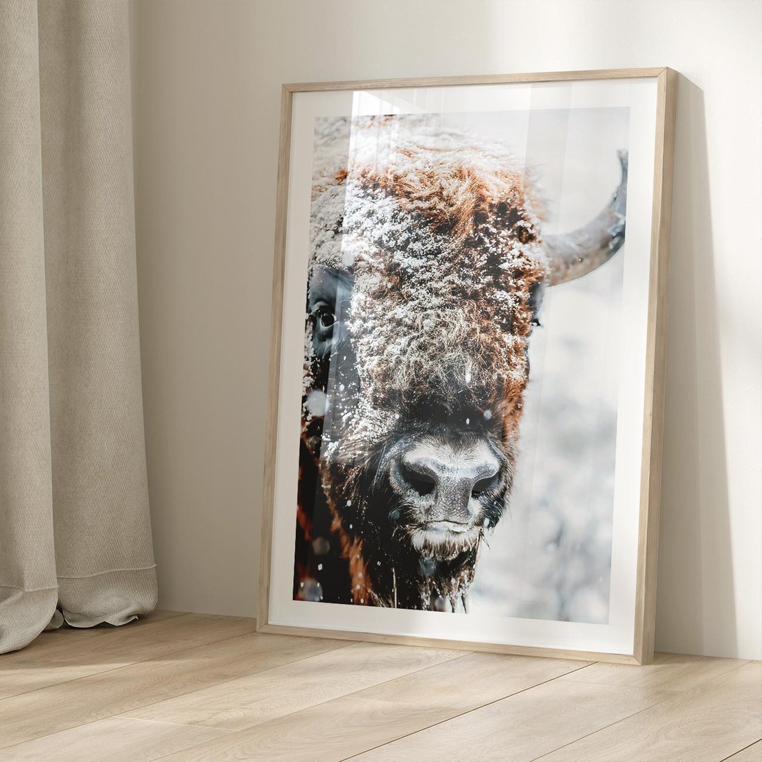 Plakat w ramie 50x70 - Żubr w Krainie Śniegu - żubr, zima - rama drewno