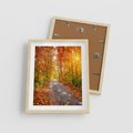 Plakat w ramie 40x50 - Kolorowe drzewa na ścieżce jesieni - las, jesień - rama drewno