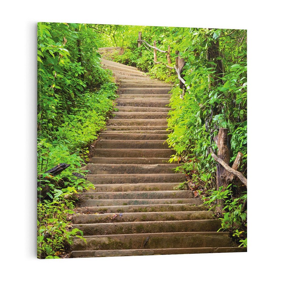 Obraz na płótnie 70x70 - Magia Leśnej Ścieżki - ścieżka, w lesie