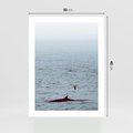 Plakat bez ramy 30x40 - Spotkanie z Orką - morze, ocean