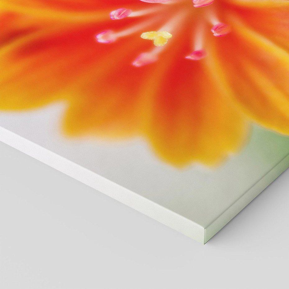 Obraz na płótnie 70x50 - Urok kwiatów - kwiat, kwiaty