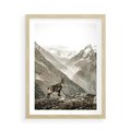 Plakat w ramie 50x70 - Dzikie Piękno: Kozica w Malowniczym Górskim Scenerii - kozica, góry - rama drewno