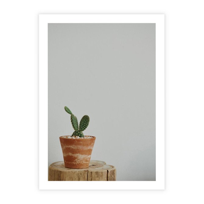Plakat bez ramy 21x30 - Kaktus w Doniczce - minimalizm, kaktur w doniczce