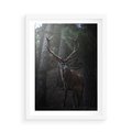 Plakat w ramie 50x70 - Jeleń wśród lasu - jeleń, las - rama biała