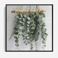 Obraz w ramie 50x50 - Uwodzicielska zieleń eukaliptusa - eukaliptus, zielone - rama czarna