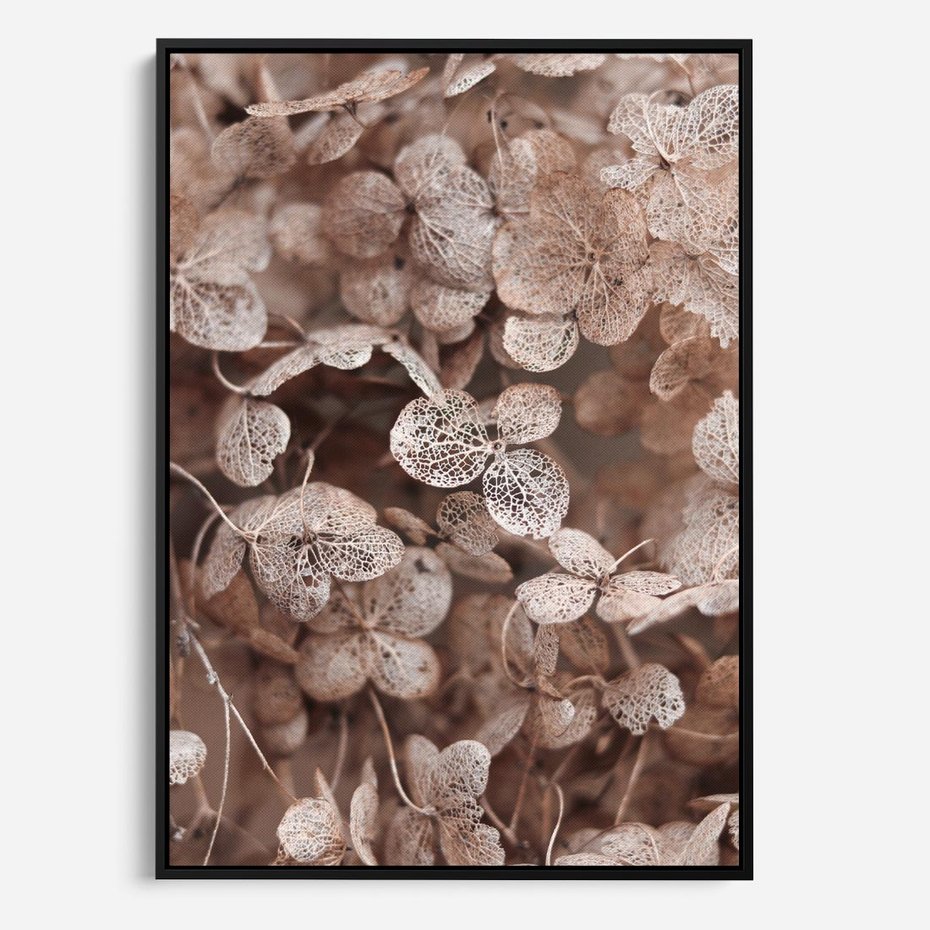 Obraz w ramie 50x70 - Przemijająca Piękność - fotografia, zbliżenie - rama czarna