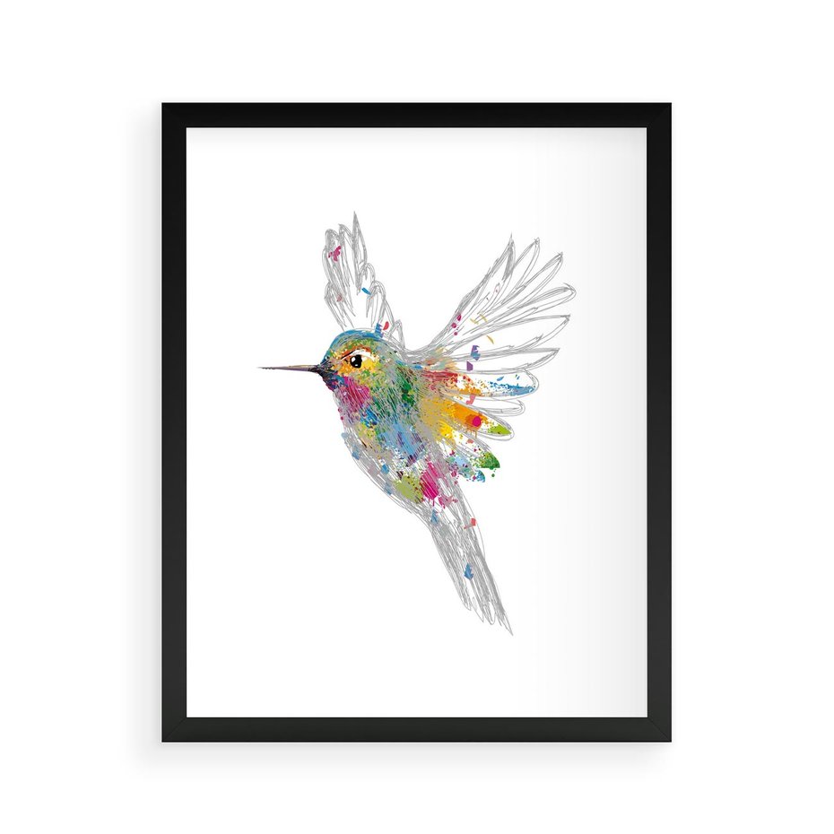 Plakat w ramie 40x50 - Koliber w akwareli - akwarela, koliber - rama czarna