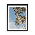 Plakat w ramie 40x50 - Pod Niebem Palmy - palmy na niebieskim niebie - rama czarna