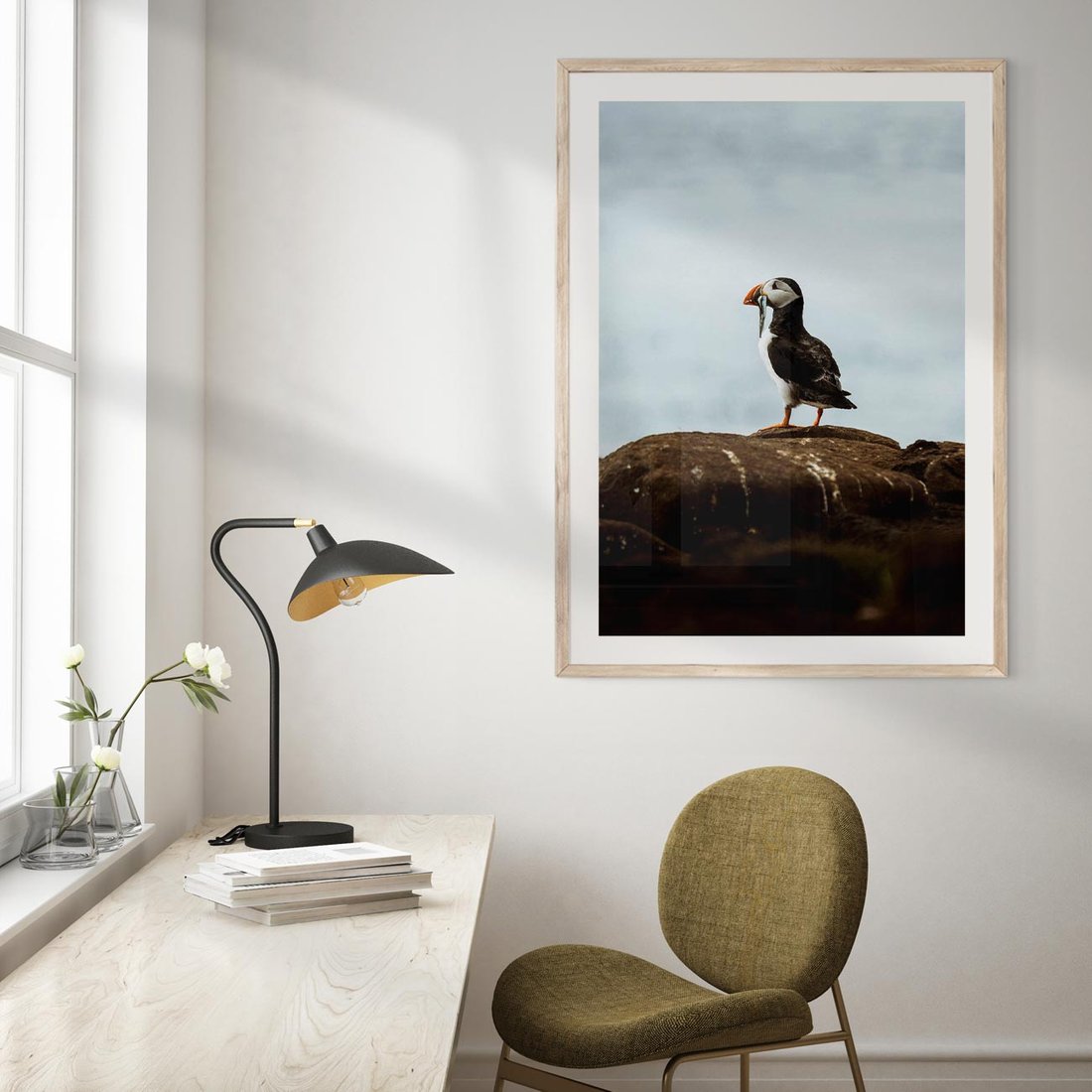 Plakat w ramie 50x70 - Portret Ptaka Morskiego - maskonur, ptak - rama drewno