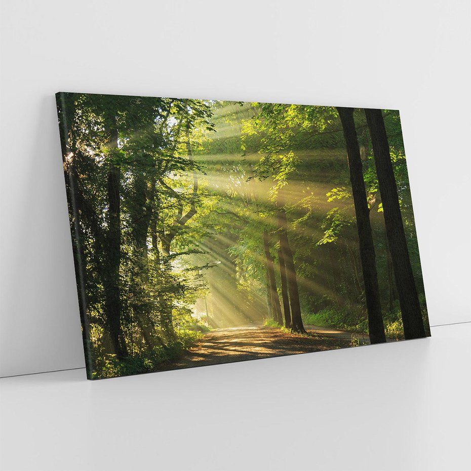 Obraz na płótnie 70x50 - Siła Natury: Las i Drzewa - las, drzewa