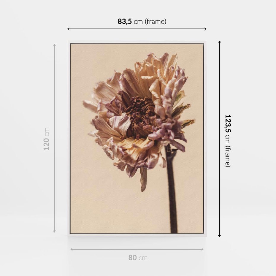Obraz w ramie 80x120 - Delikatne piękno - suche, kwiaty - rama biała