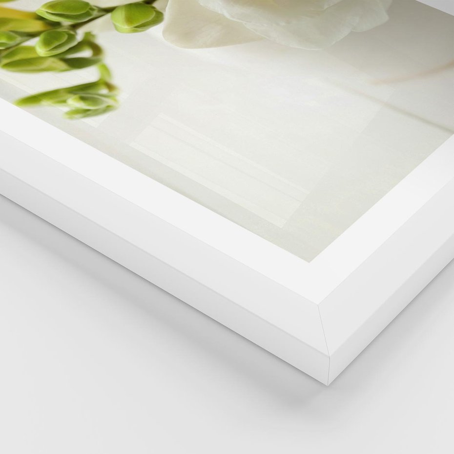 Plakat w ramie 30x40 - Subtelność białych frezji - frezja, białe - rama biała