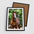 Plakat w ramie 50x70 - Portret Szlachetnego Konia - koń, portret - rama czarna