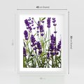 Plakat w ramie 40x50 - Fioletowa harmonia lawendy - lawenda, fiolet - rama biała
