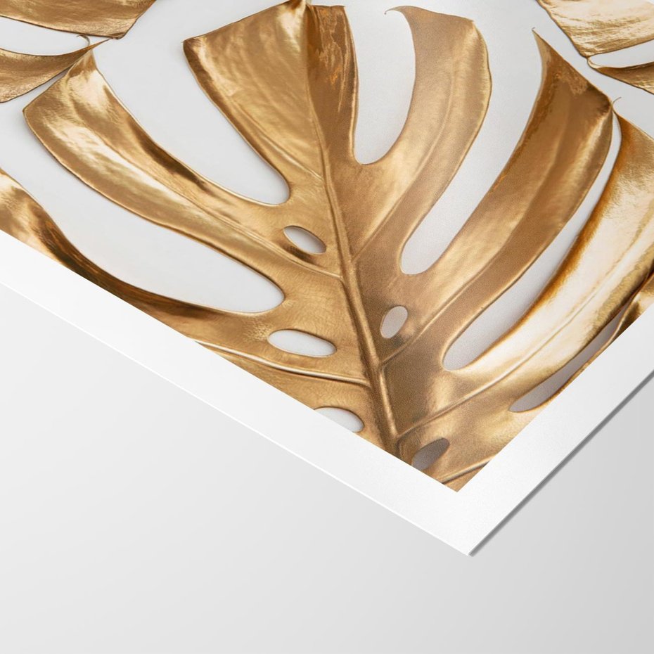 Plakat bez ramy 21x30 - Złote Akcenty w Fotografii - złotel liście monstery, na białym tle