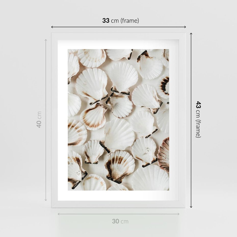 Plakat w ramie 30x40 - Białe Muszle - białe muszle, ujęcie z góry - rama biała