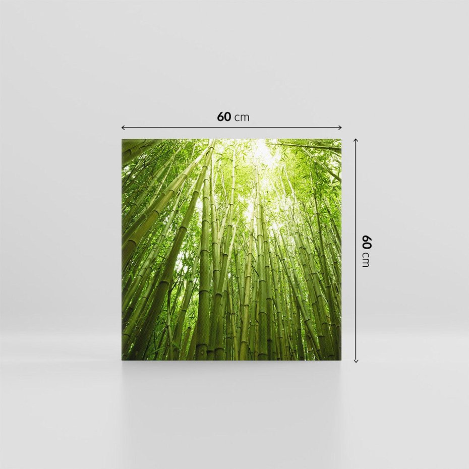 Obraz na płótnie 60x60 - Siła Natury - drzewa, las