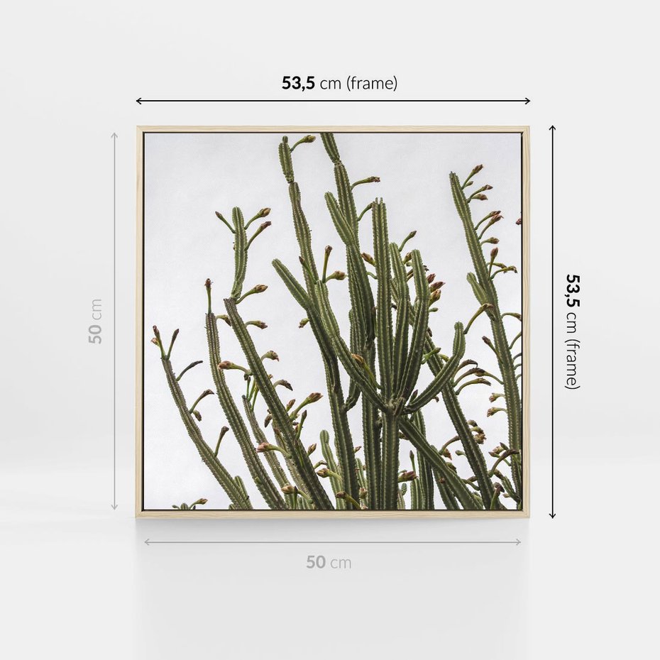 Obraz w ramie 50x50 - Ekskluzywna Roślinność - kaktusy, liście - rama drewno