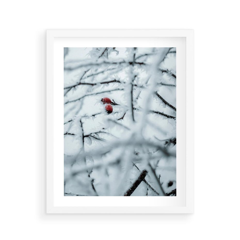 Plakat w ramie 40x50 - Zima w Detalu: Gałęzie ze Szronem i Śniegiem - śnieg, zima - rama biała