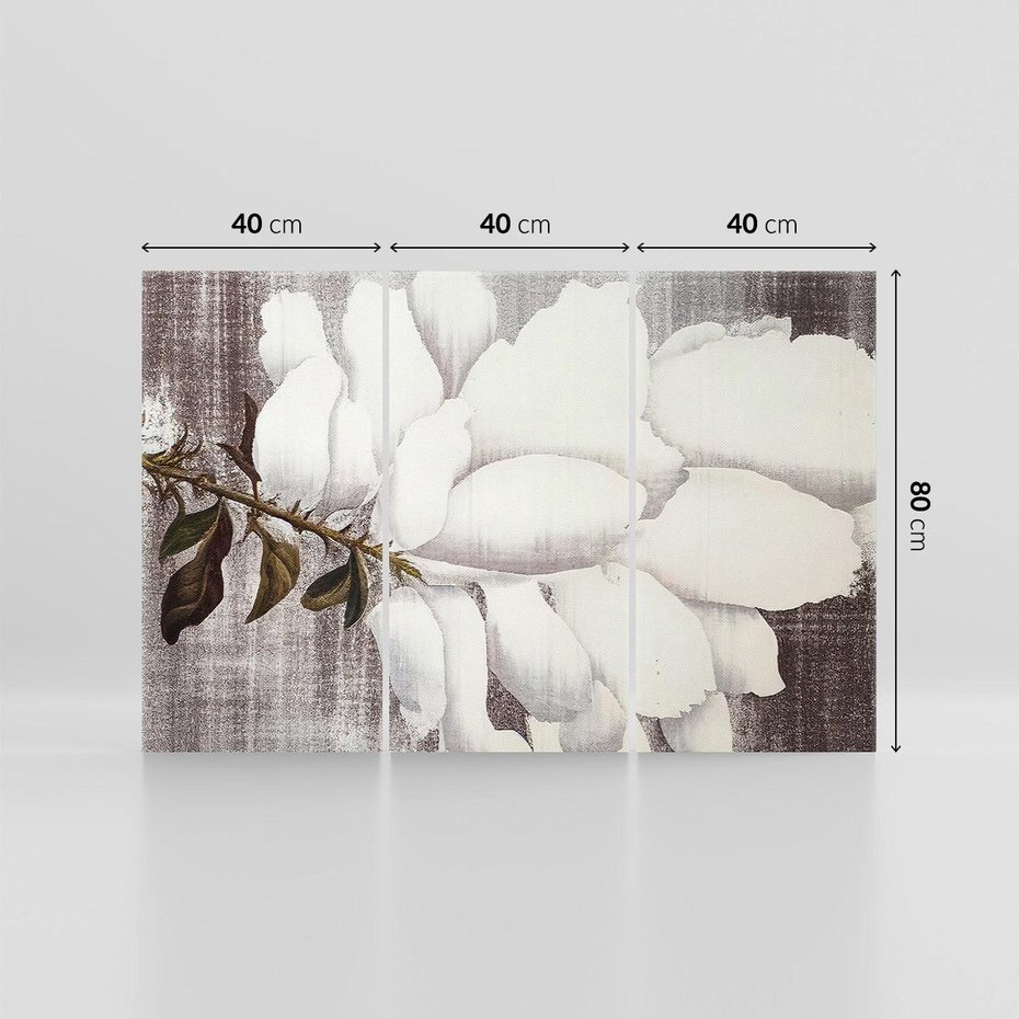 Obraz na płótnie 120x80 - Tekstura Kwiatu - białe kwiaty, duży kwiat