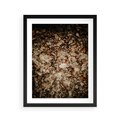 Plakat w ramie 40x50 - Suchość Liści w Brązowych Tonach - suche liście jesień brąz - rama czarna