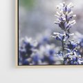 Obraz w ramie 50x50 - Delikatna Uroda Natury - wrzosy, fiolet - rama drewno