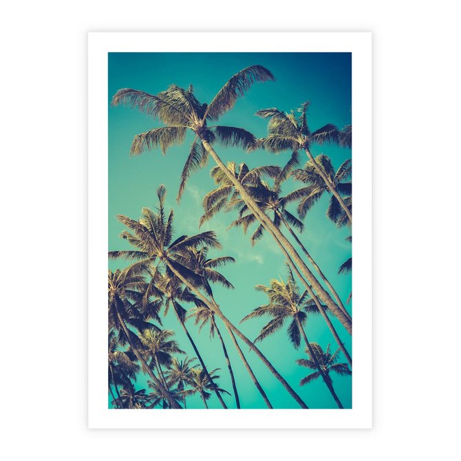 Plakat bez ramy 21x30 - Tropikalne palmy w krainie słonecznych wakacji - palmy, tropiki