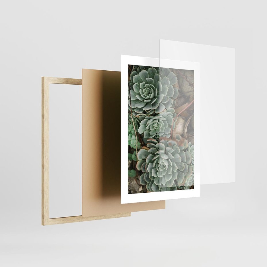 Plakat w ramie 30x40 - Zielona Uroda Sukulentów - sukulenty, zielone liście - rama drewno
