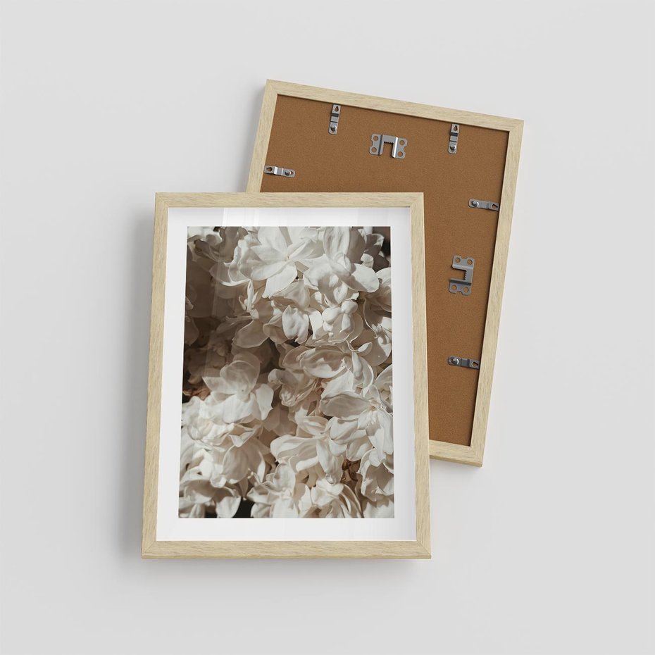 Plakat w ramie 30x40 - Płatki w Detalu - białe kwiaty, zbliżenie - rama drewno