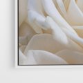 Obraz w ramie 80x80 - Białe róże piękności - białe, róże - rama biała