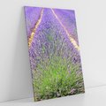 Obraz na płótnie 70x100 - Lawendowy kwiat - lawenda, kwiat