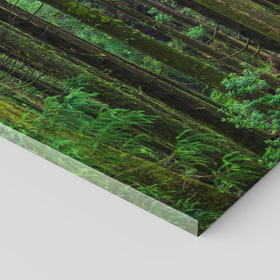 Obraz na płótnie 80x80 - Mistyka leśnej głuszy - las, drzewa