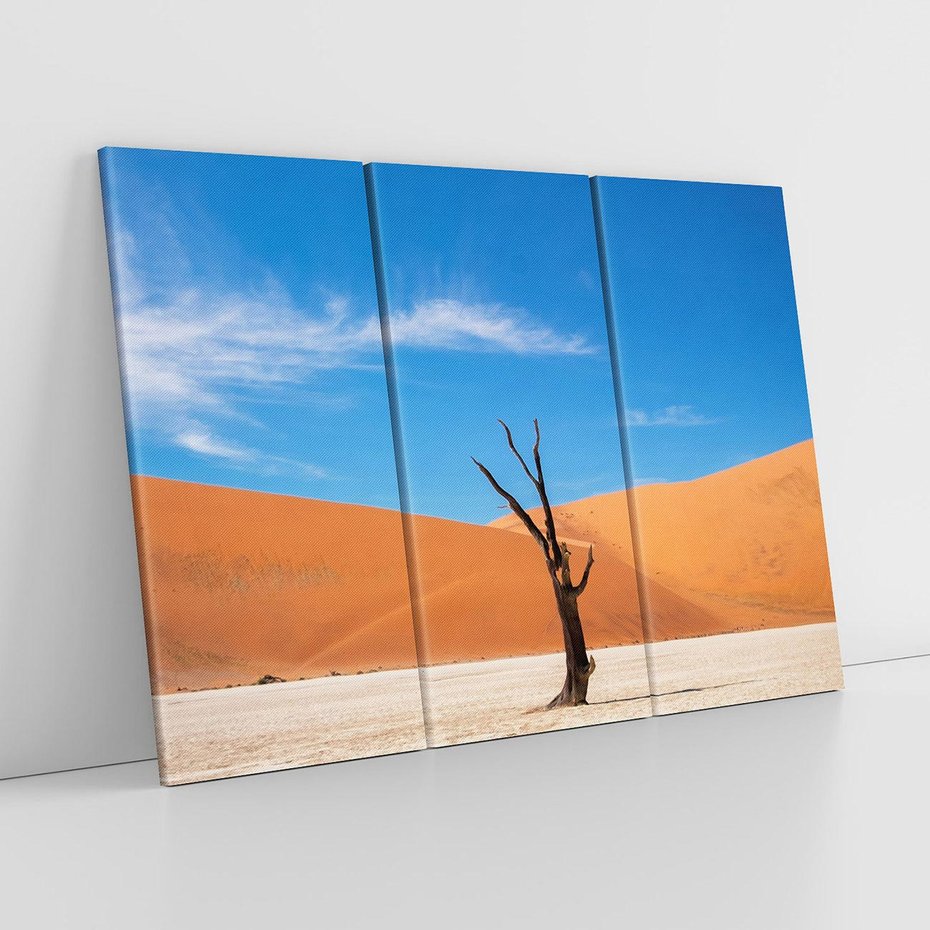 Obraz na płótnie 120x80 - Słońce i Suche Drzewo - pustynia, suche