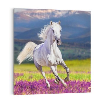 Obraz na płótnie 70x70 - Koń Góry: Spotkanie z Wielką Przyrodą - koń, góry