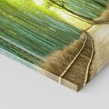 Obraz na płótnie 30x30 - Droga przez japoński bambusowy las - droga, japonia